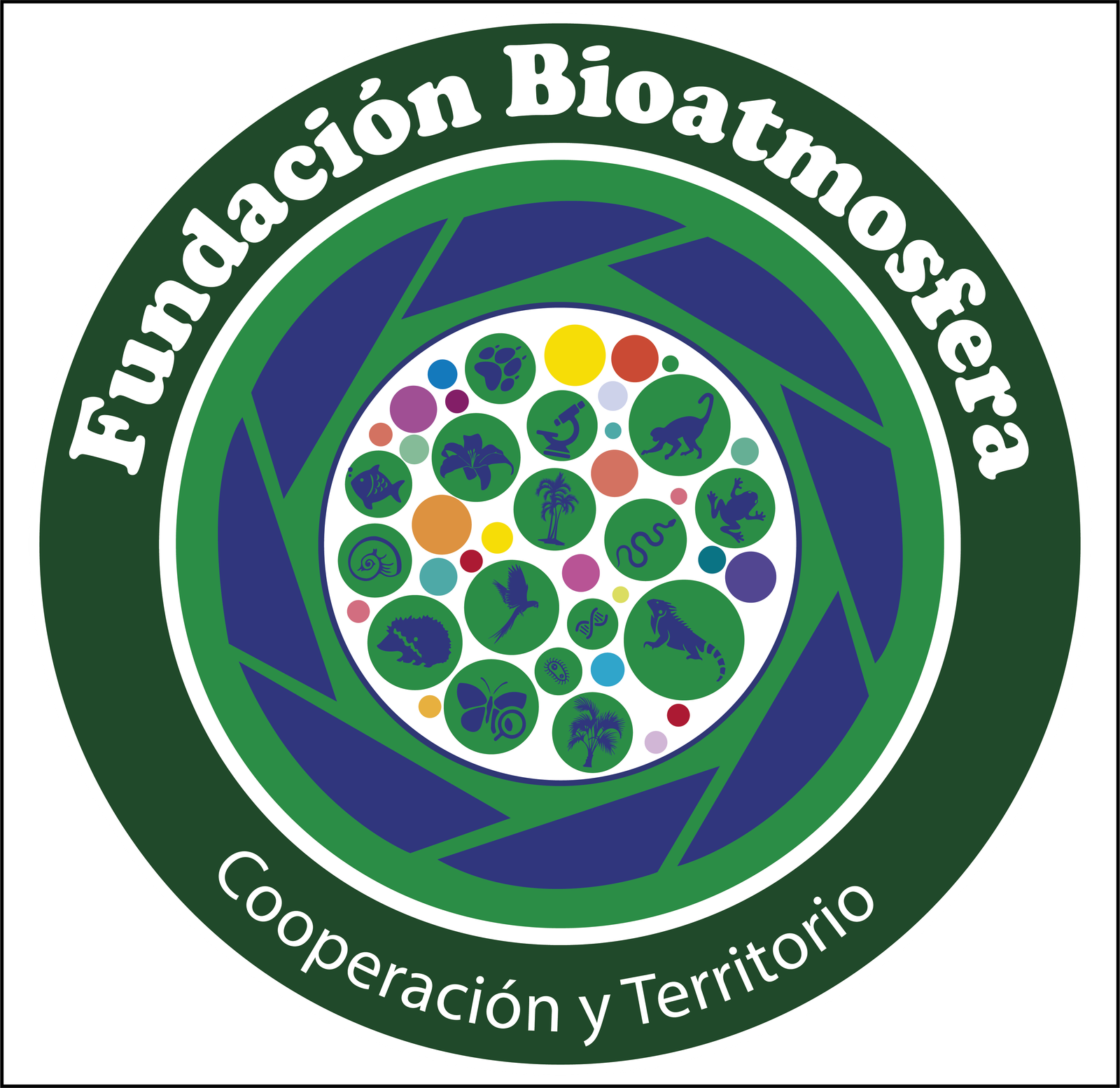 fundacionbioatmosfera.org